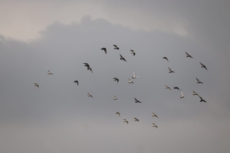RIZKIMU BERADA DI LANGIT